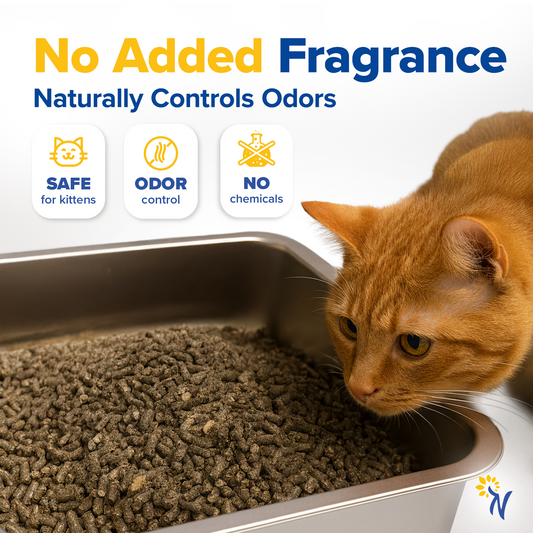Cat using a litter box with text highlighting 'No Added Fragrance' and benefits.