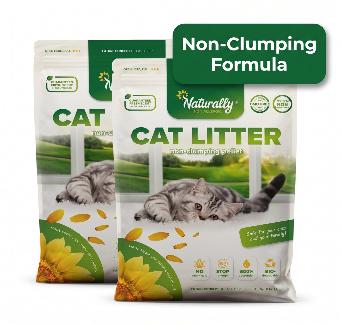 CAT LITTER Non-Clumping 11 lb Pack of 2