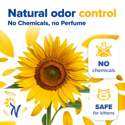 CAT LITTER Quick Clumping 11 lb Pack of 2