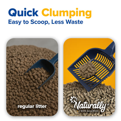 CAT LITTER Quick Clumping 11 lb Pack of 2