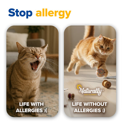 CAT LITTER Quick Clumping 11 lb Pack of 2