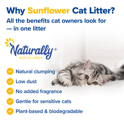 CAT LITTER Natural Clumping 11 lb