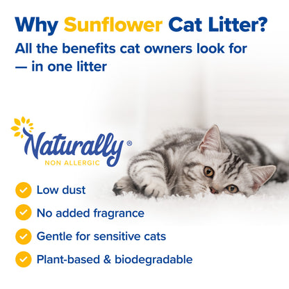 CAT LITTER Non-Clumping 11 lb
