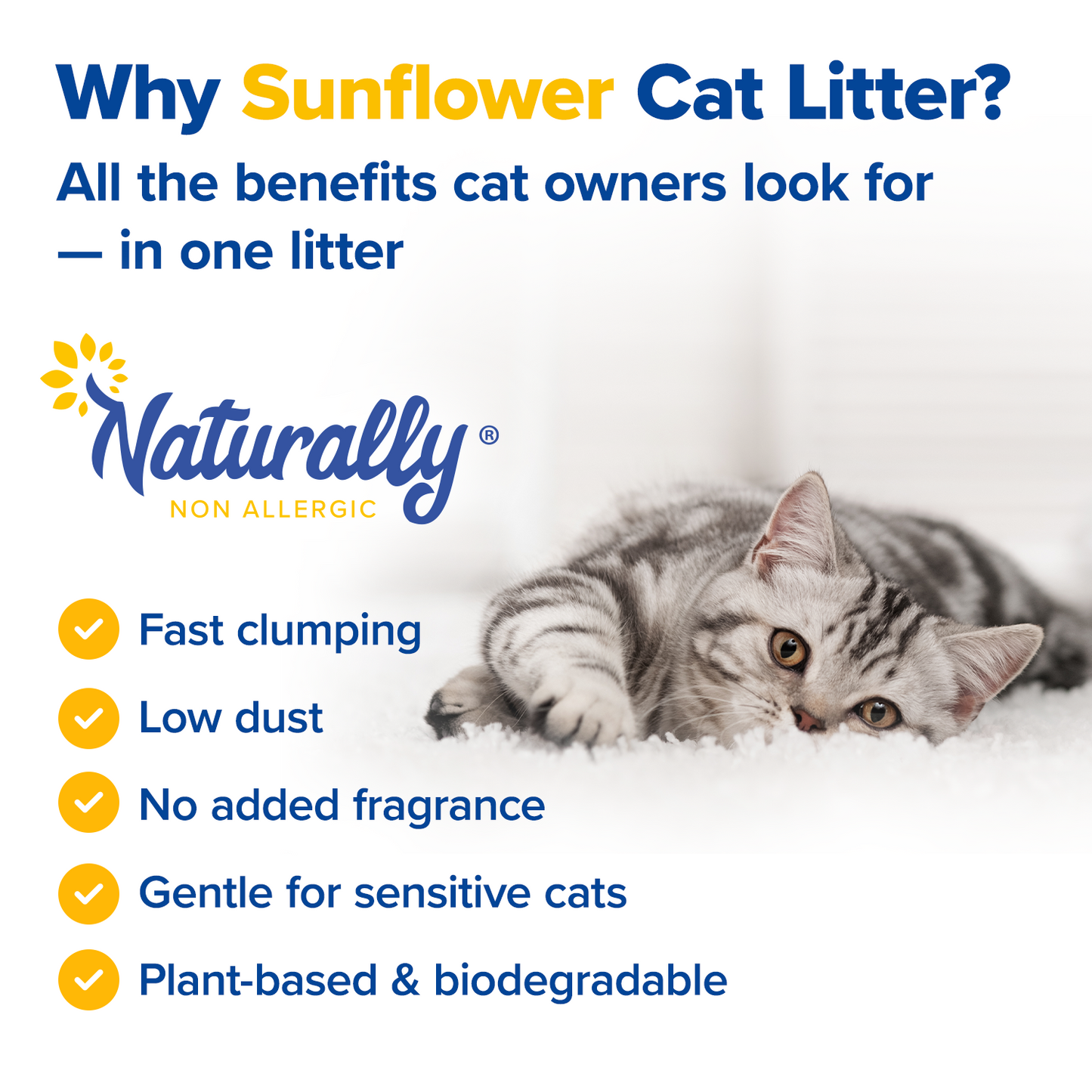 BUY 1 GET 1 FREE CAT LITTER from sunflower hulls 11 lb