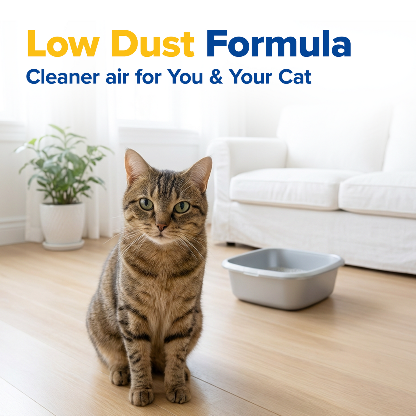 BUY 1 GET 1 FREE CAT LITTER from sunflower hulls 11 lb