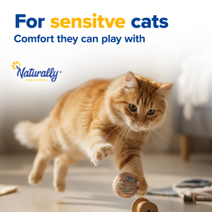 BUY 1 GET 1 FREE CAT LITTER from sunflower hulls 11 lb