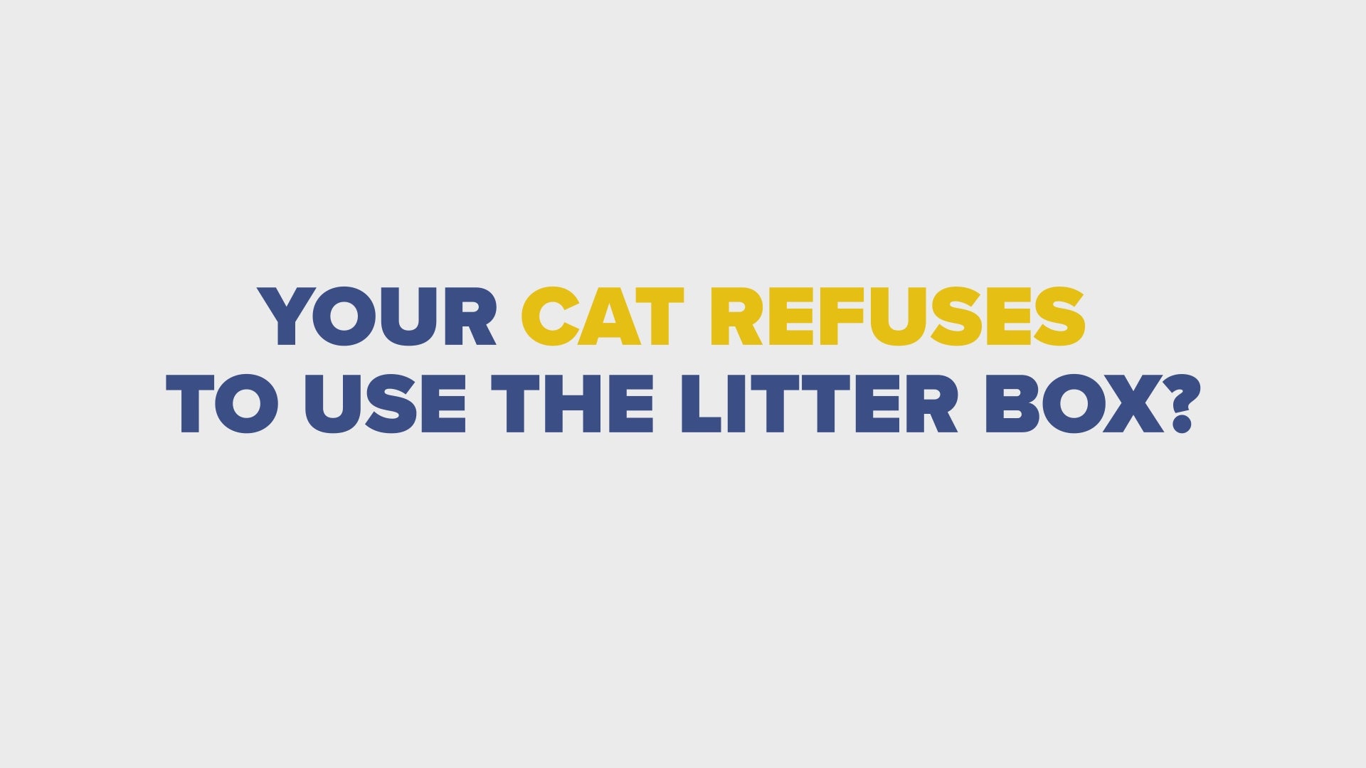 CAT LITTER Natural Clumping 11 lb – Naturally Non Allergic