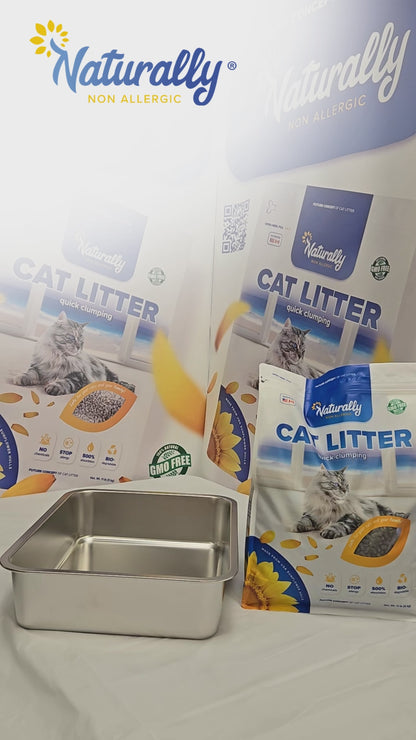 CAT LITTER Quick Clumping 11 lb Pack of 2